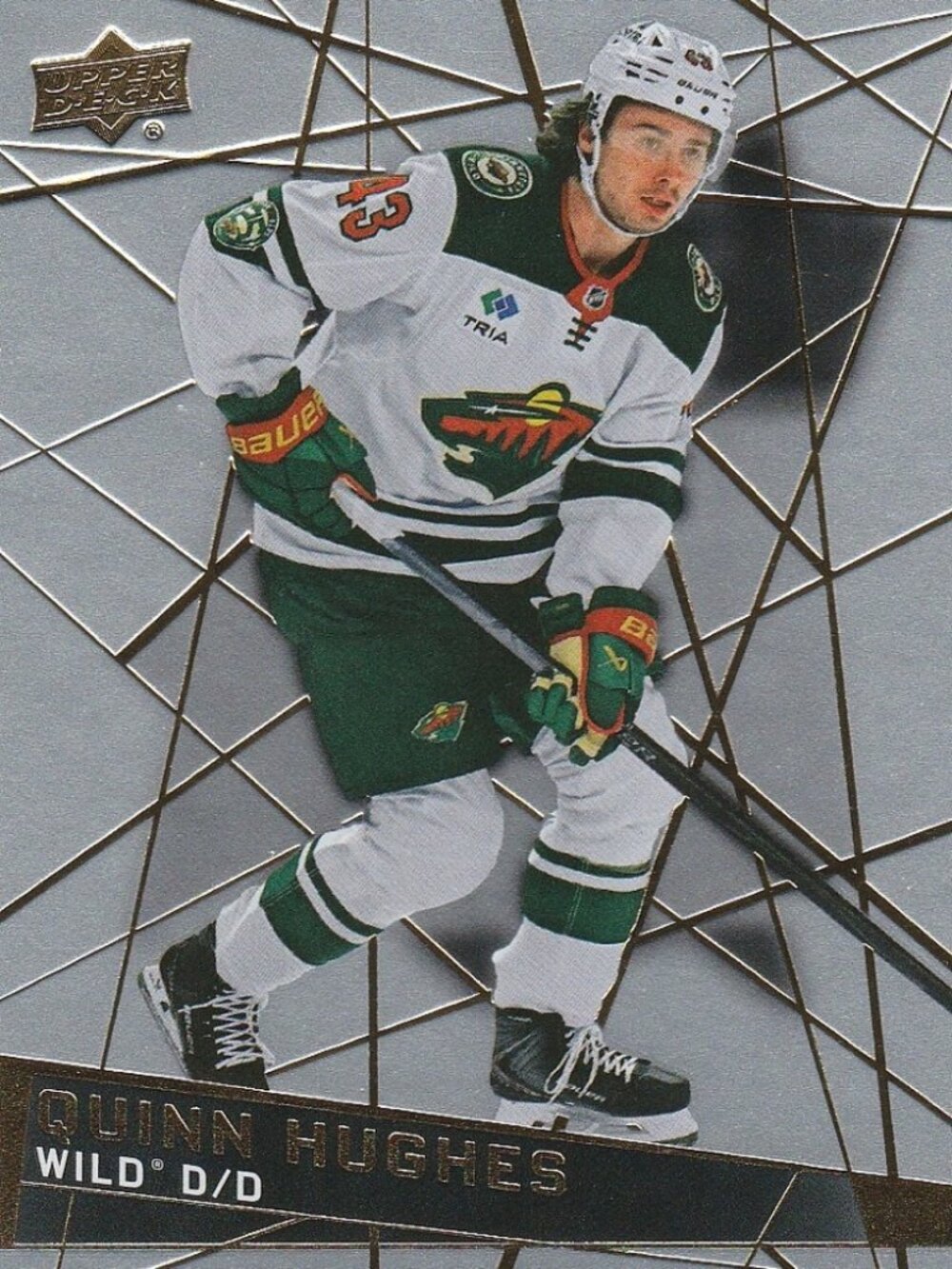 Quinn Hughes Hockey Card